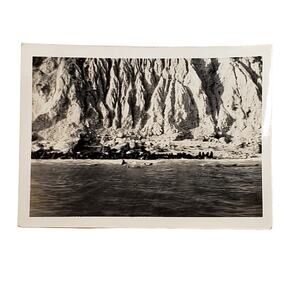Vtg B&W Photo 1940s Found Seal Island Seals Swimming Ocean Animalcore Snapshot